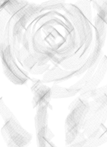 薔薇 - うえの 作